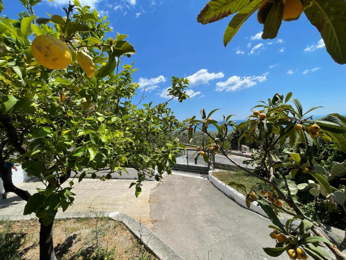 Villetta - Qui Dove Il Mare Luccica - Affitti Brevi Italia Monte SantʼAngelo Exterior foto